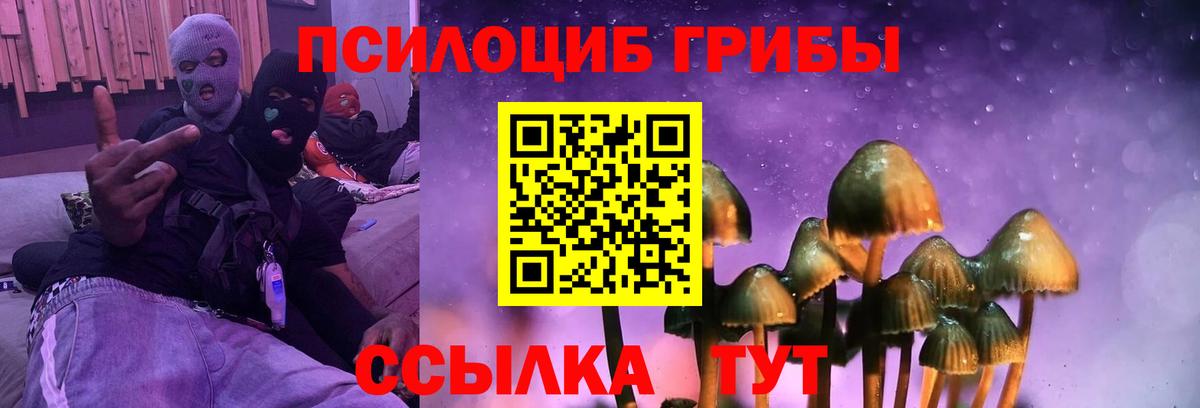 Озёры  Галлюциногенные грибы Magic Shrooms  Вход с VPN  Галлюциногенные грибы Magic Shrooms 